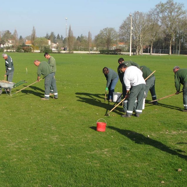 Terrains de sports