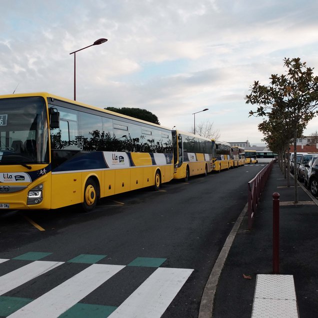 Transport scolaire Cacault