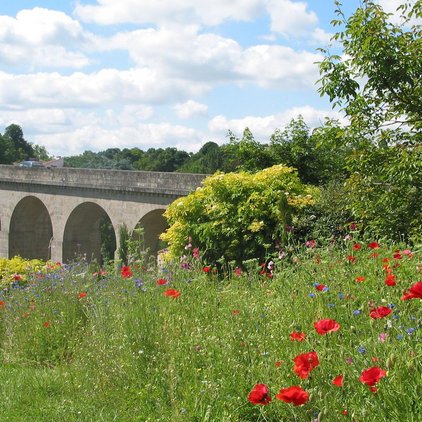 Clisson en fleur